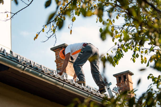 Best Storm Damage Roof Repair  in State Center, IA